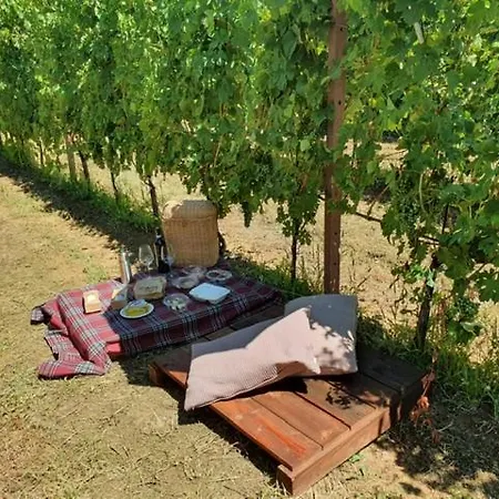 Maison d'hôtes Relais Juliette 4*