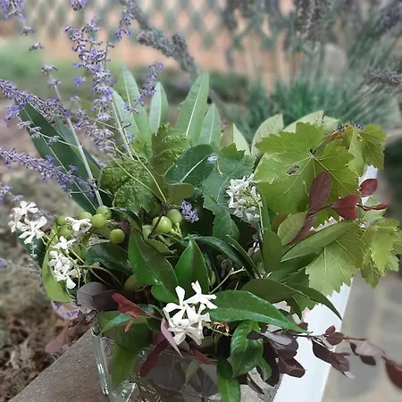 Maison d'hôtes Relais Juliette